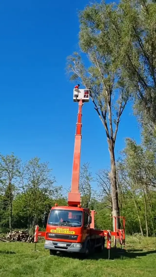 Bérelt emelőkosaras teherautó kinyújtott gémmel egy fa mellett.